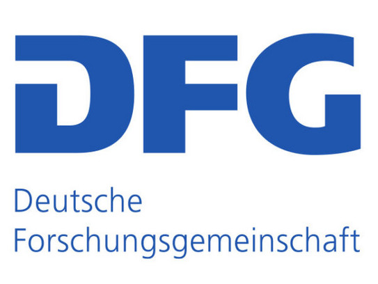 DFG  Logo