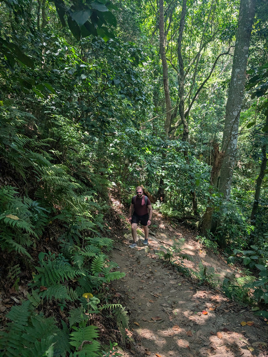 Manuel hiking up Pedra de Gávea, surrounded by jungle.